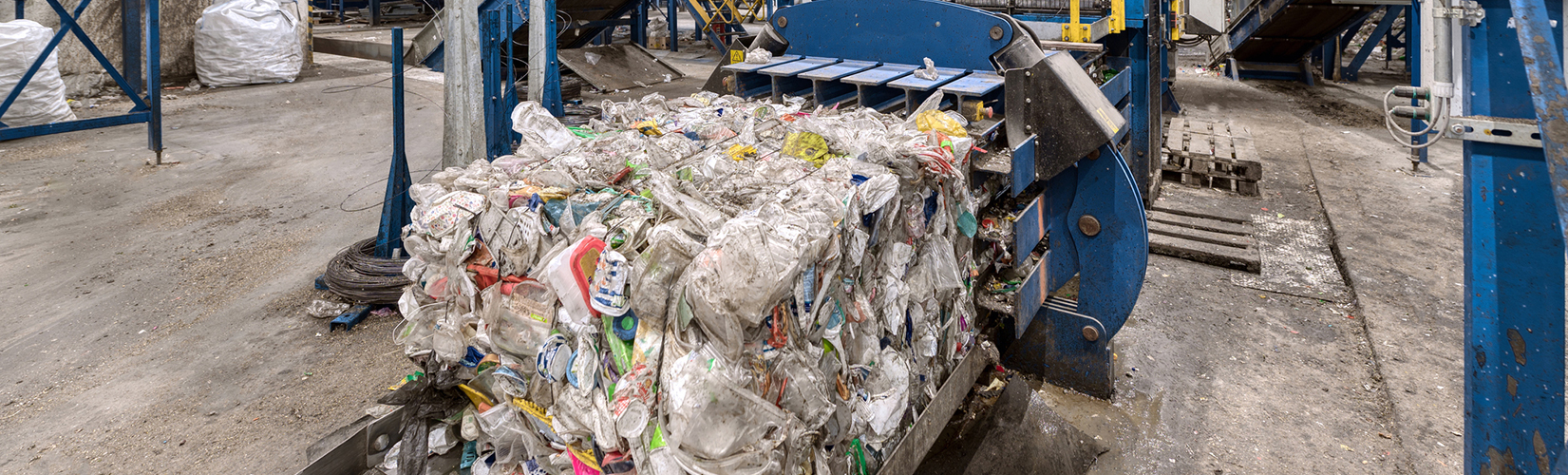 Single Stream Recycling EcoVida Waste Management Consulting