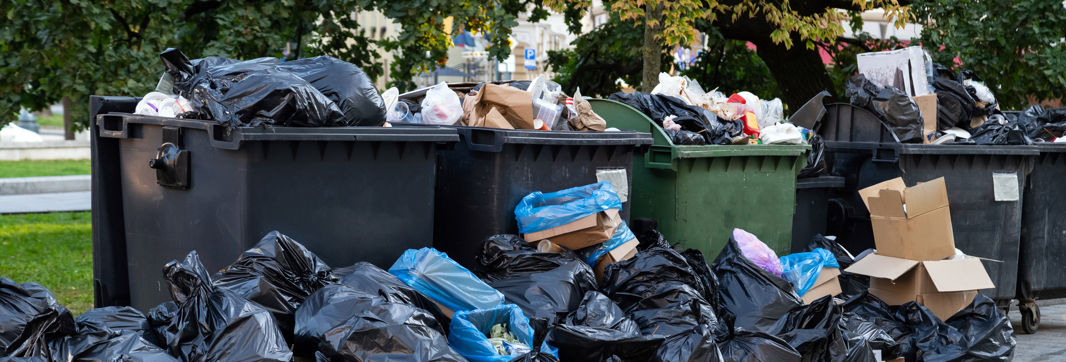 Container Appearance - EcoVida Waste Management Consulting | California ...